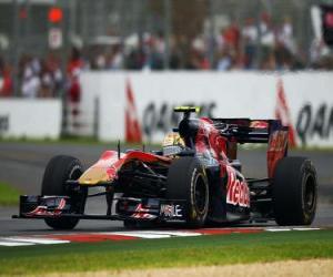 Puzzle Jaime Alguersuari - Toro Rosso - Μελβούρνη 2010
